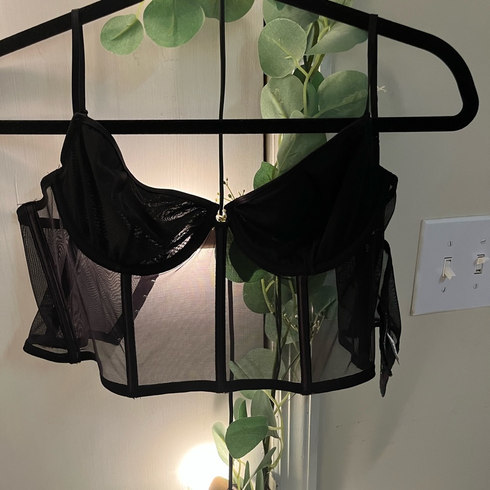Cropped sheer corset top size large (fits like a medium)